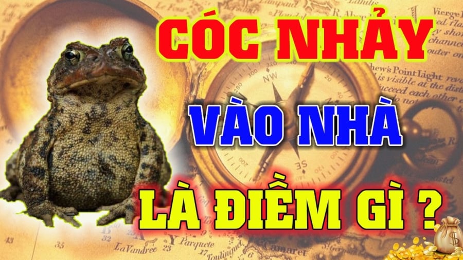 4 con vật Đệ Tử Thần Tài, vào nhà nào nhà đấy Tiền Tài nảy số