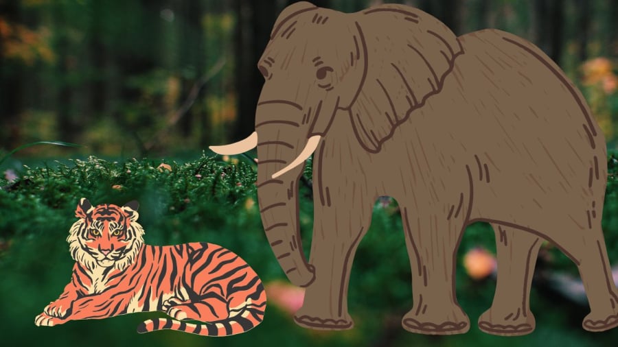Mỗi loài cần có sự thích nghi