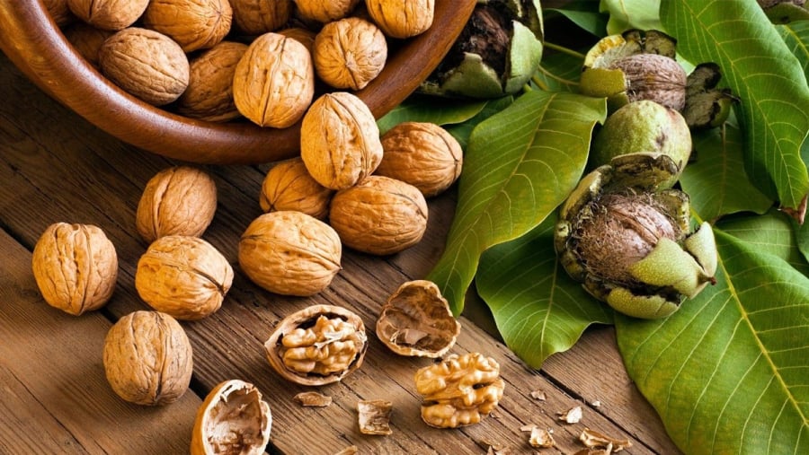 Hạt óc chó