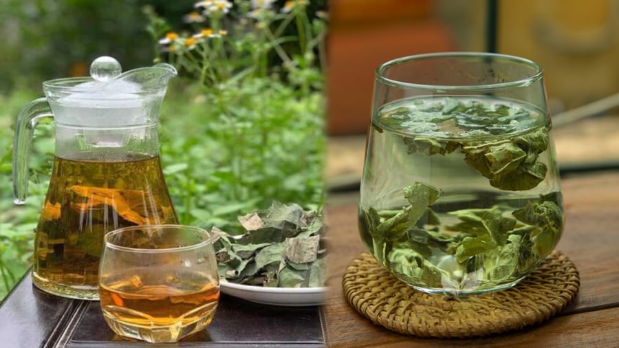 Nước lá sen khô có tác dụng hỗ trợ hạ mỡ máu.