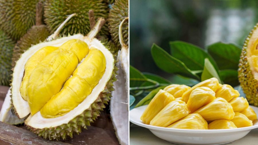 Sầu riêng và mít là những loại trái cây có hàm lượng đường lớn, có thể gây tăng cân nếu ăn nhiều.