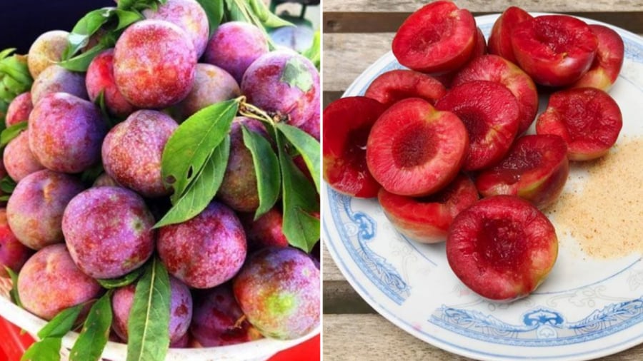 Không nên ăn quá nhiều mận để tránh ảnh hưởng đến tiêu hóa, gây ra tình trạng nóng trong, nổi mụn.