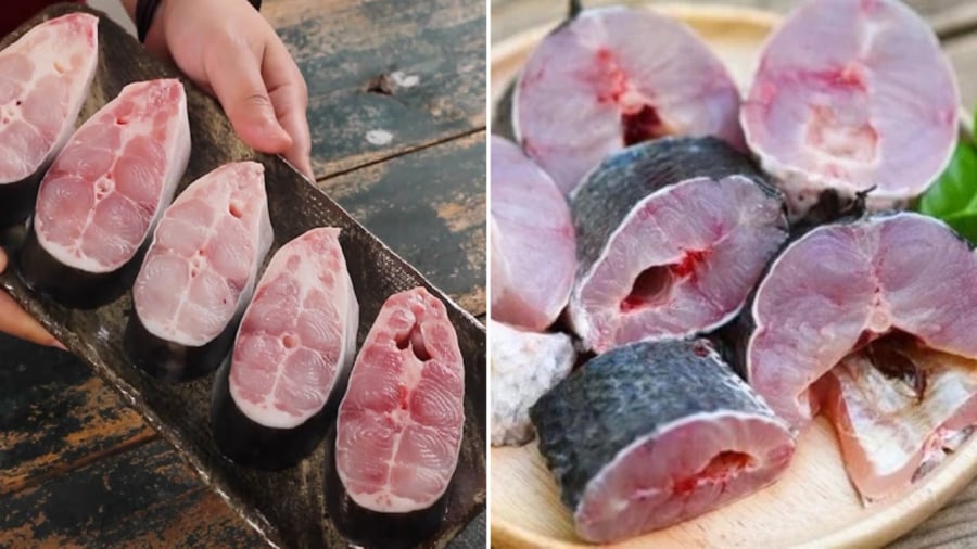 Khi nấu canh chua cá, phần nguyên liệu đóng vai trò rất quan trọng. Cần phải chọn được cá tươi ngon thì canh mới ngọt nước, không bị tanh.