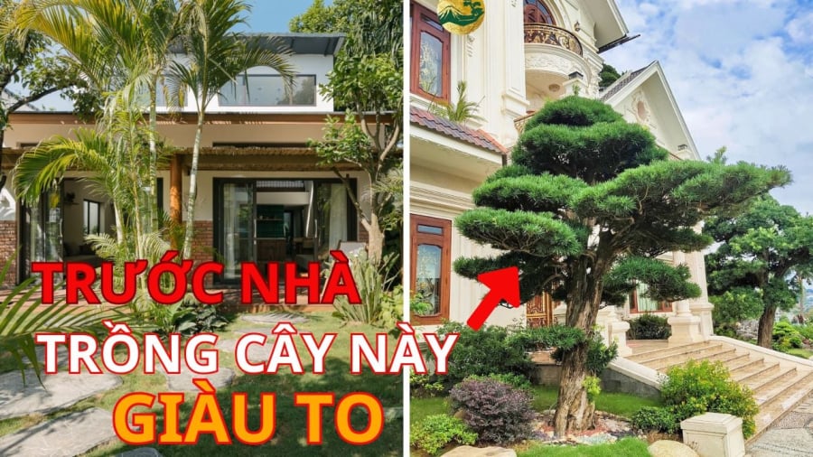 Tứ kỵ trước nhà nên tránh