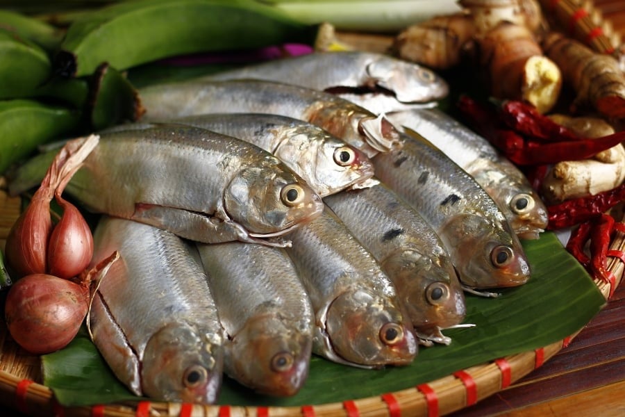 Là một trong những loại cá nhỏ nhưng “có võ”, cá mòi nổi bật với hàm lượng omega-3, protein, canxi, magie, phốt pho và kẽm dồi dào.