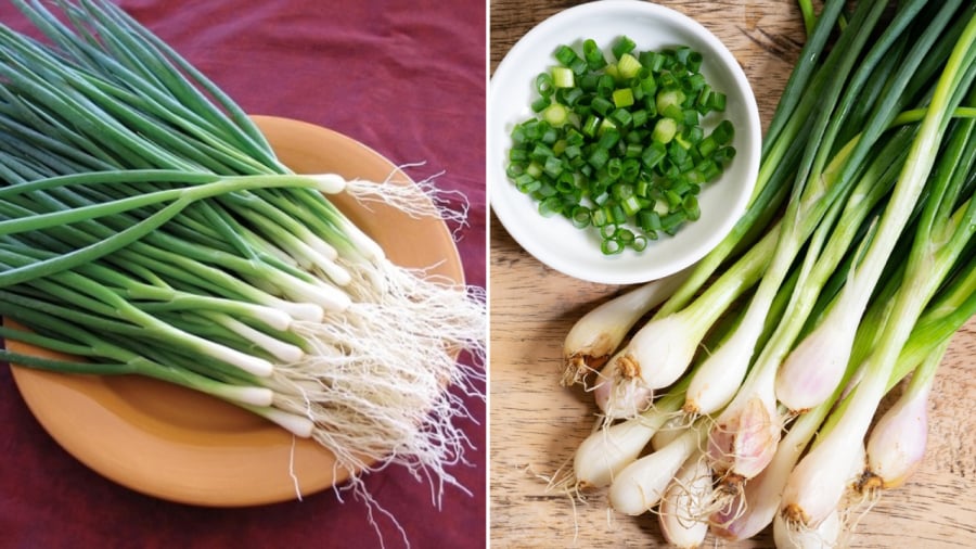 Hành lá mang lại nhiều lợi ích cho sức khỏe. Tuy nhiên, không phải ai cũng nên ăn hành lá.