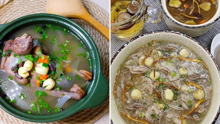 thit-chim-bo-cau-lam-gi-ngon