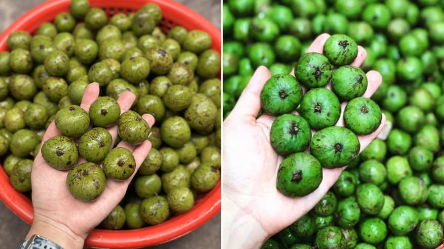 Để bảo quản sấu được lâu, bạn nên chọn sấu bánh tẻ, không quá già, không quá non.