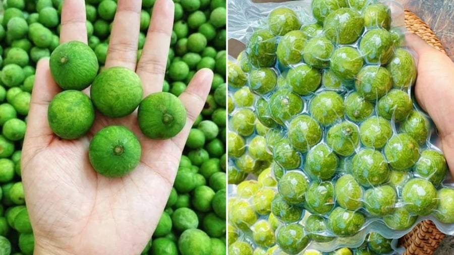 Bạn nên cạo sạch vỏ sấu trước khi bảo quản.