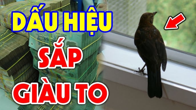 Con vật may mắn bước vào nhà