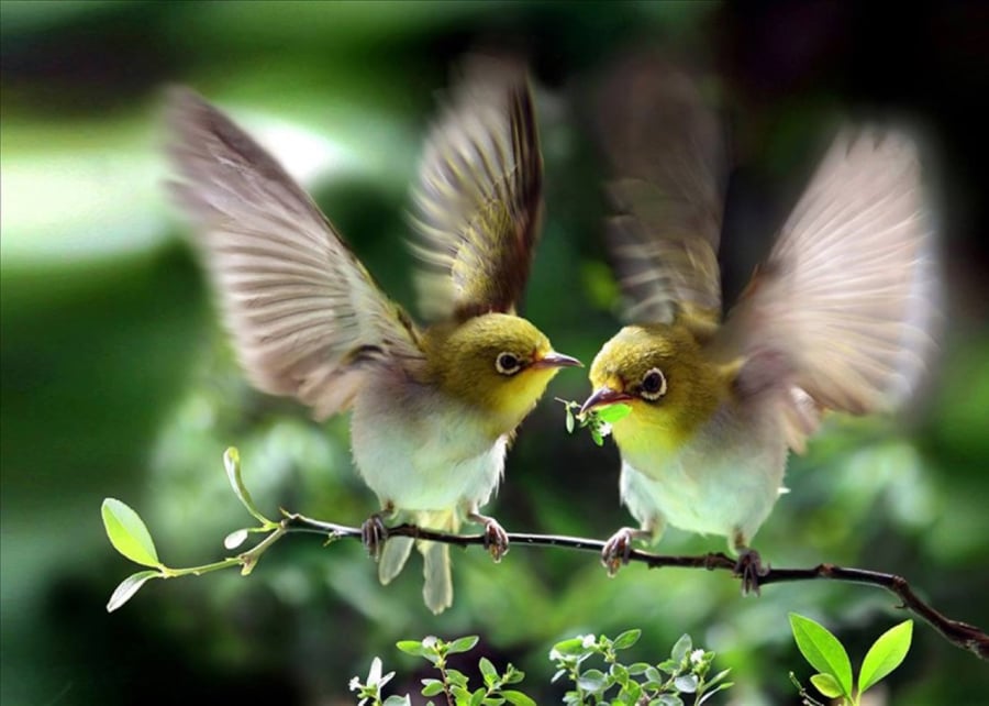Những người sinh vào 5 ngày Âm lịch sau giống như rượu ngon lâu năm, càng nếm càng ngon. (Ảnh minh họa)