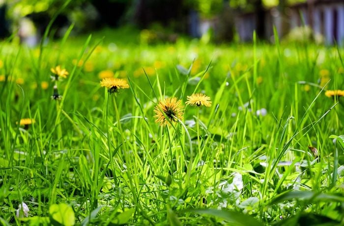 Trẻ sinh tháng 5 Âm lịch vừa chào đời đã mang phúc khí cho cha mẹ, giúp gia đình giàu có, phú quý. (Ảnh minh họa)
