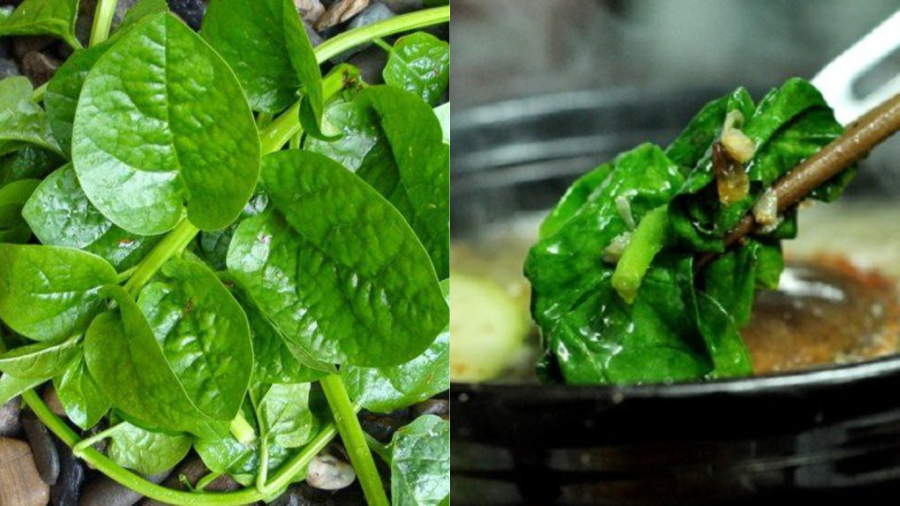 nhom-nguoi-khong-nen-an-rau-mong-toi-mac-du-rau-lanh-tinh