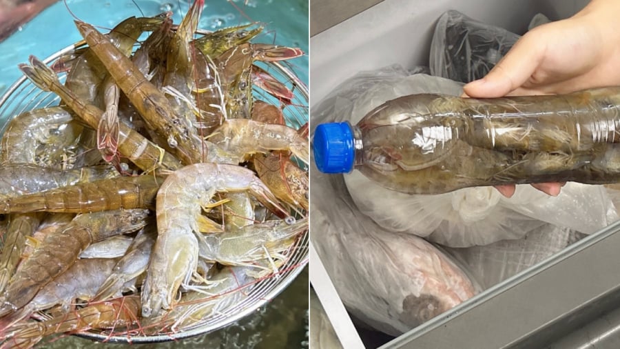 Bạn có thể tận dụng các chai nhựa sạch để bảo quản tôm.