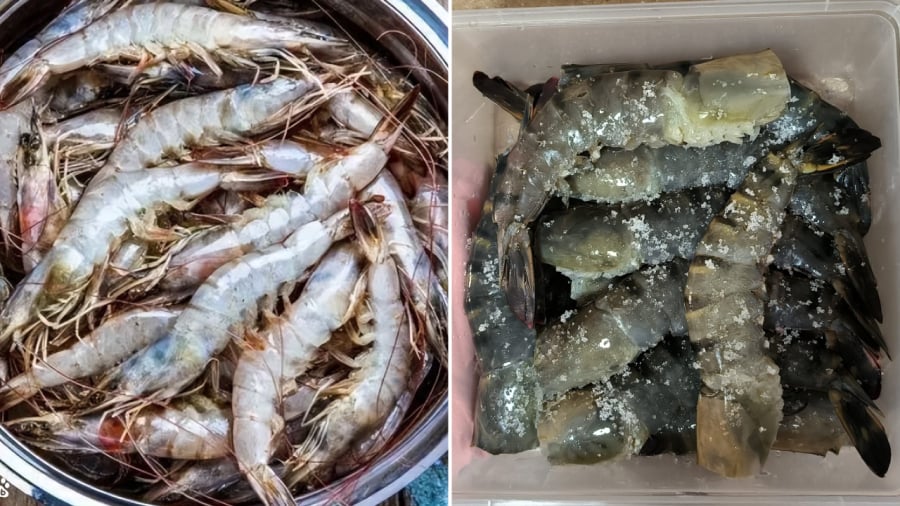 Sử dụng đường để bảo quản tôm cũng là một cách giữ cho tôm tươi ngon trong thời gian dài.