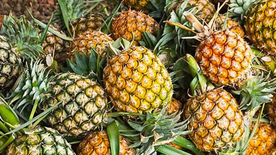 Loại trái cây rất phổ biến nhưng mỗi vùng gọi tên cách khác nhau