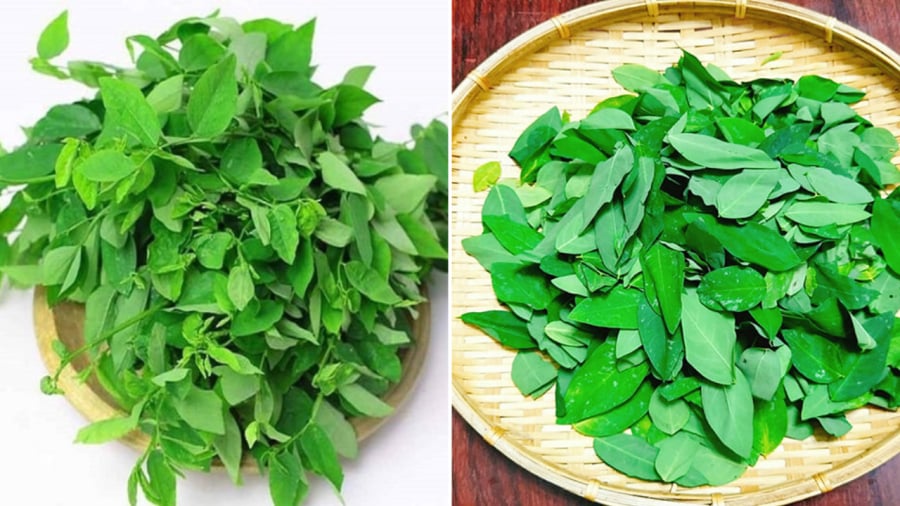 Khi nấu rau ngót, bạn nên vò rau trước khi nấu để giải phóng vị ngọt cũng như làm rau mềm và ngấm gia vị hơn.