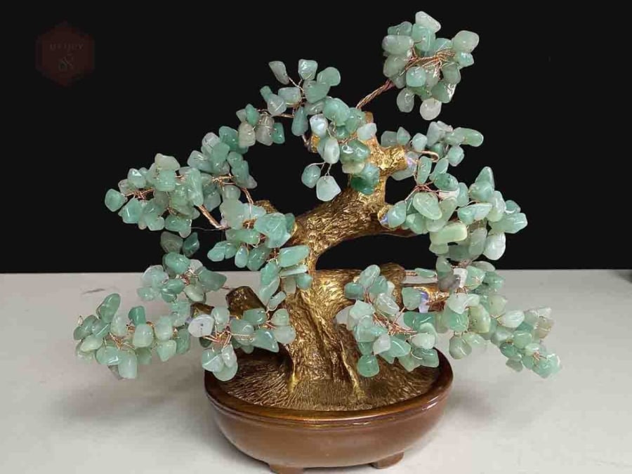 Cây Tài Lộc màu xanh