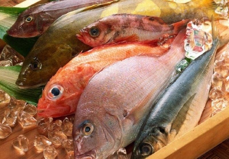 Các loại cá biển