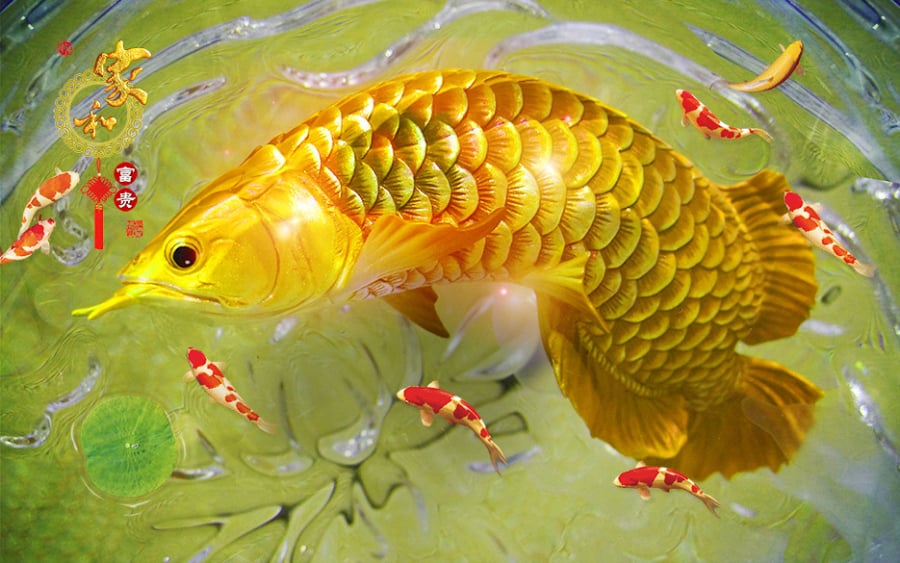 Giấc mơ may mắn thông báo điềm lành