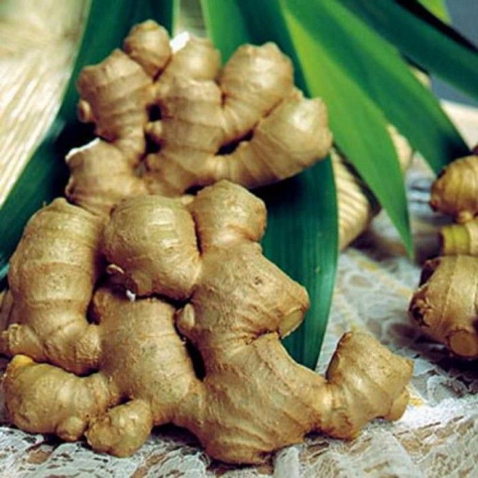 Gừng giúp chị em đẹp lên bất ngờ