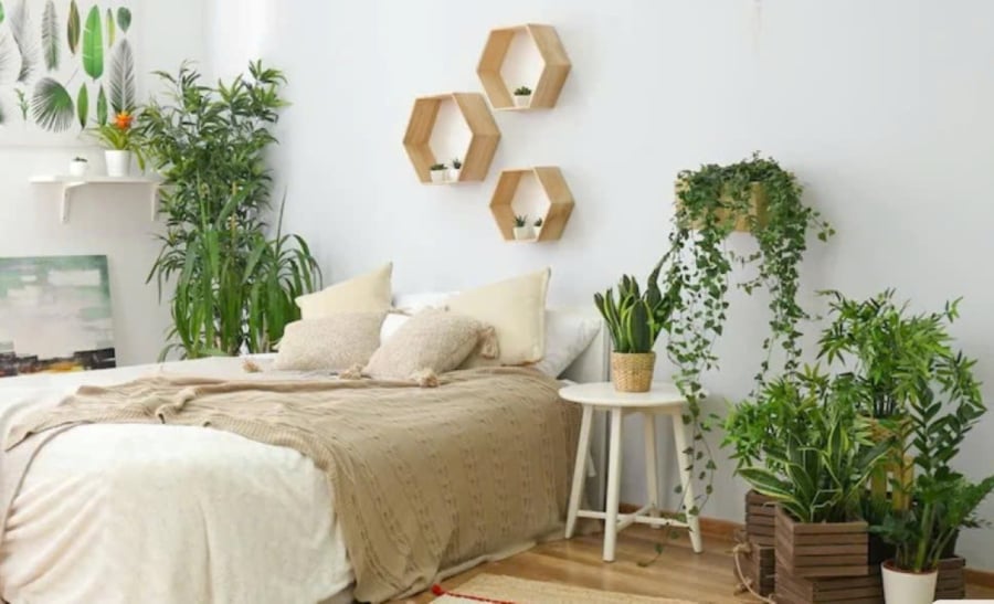 Không nên đặt cây xanh trong phòng ngủ