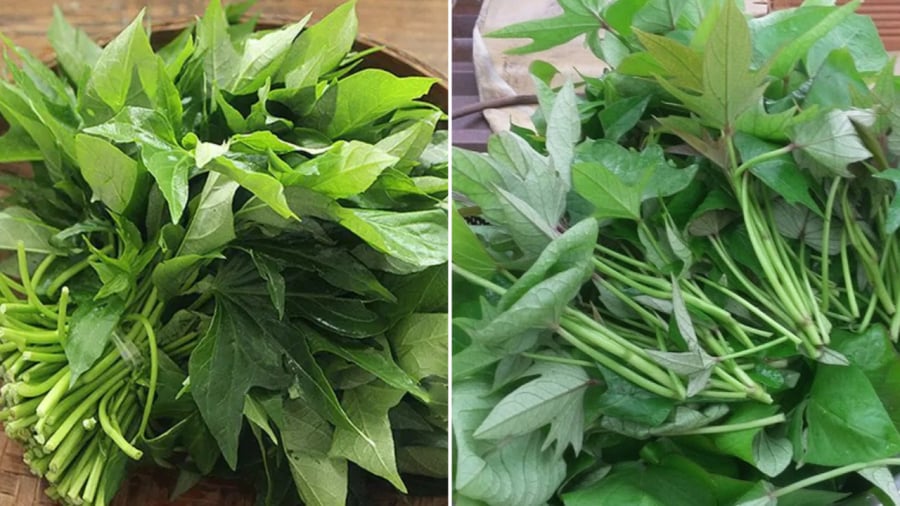 Rau lang mua về cần nhặt bỏ gốc già, lá già, chỉ lấy phần ngọn non.