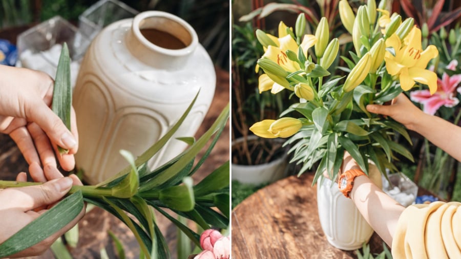 Khi cắm hoa, nên cắt vát ở phần gốc, loại bỏ phần lá sát gốc để hoa tươi lâu hơn.