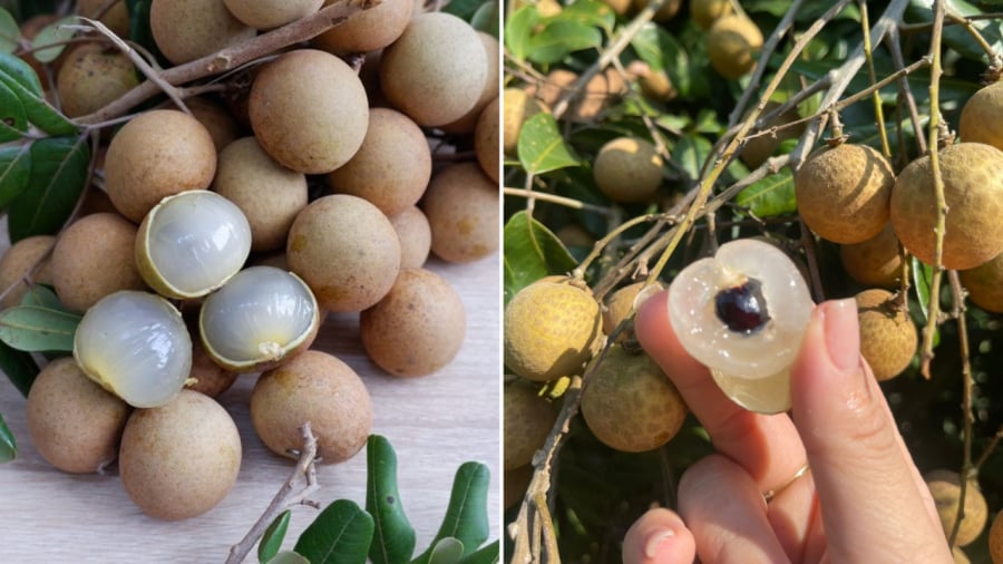 Nhãn có giá trị dinh dưỡng cao nhưng chứa nhiều đường nên không phải ai cũng nên ăn nhãn.