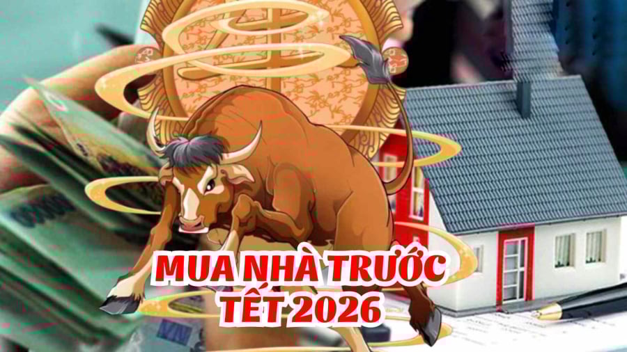 Tuổi trẻ của họ có thể bấp bênh, nhưng càng lớn tuổi, vận số càng ổn định.