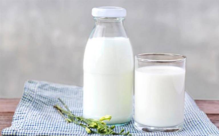 Sửa tươi không đường không chỉ tốt cho sức khỏe, mà còn hỗ trợ giảm cân tốt