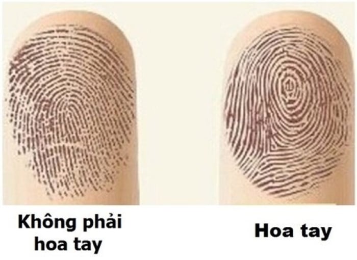 Nhận diện hoa tay trên bàn tay. (Ảnh minh họa)
