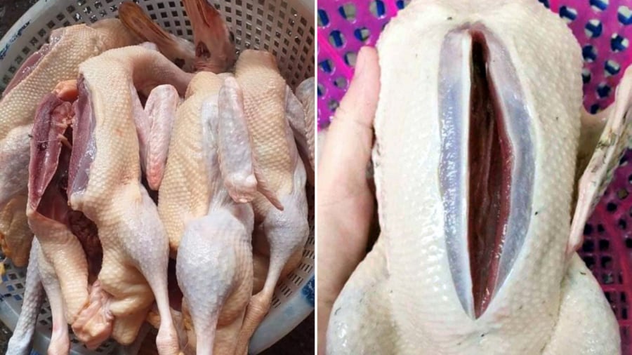 Khi chọn thịt vịt, bạn nên chọn thịt có độ đàn hồi tốt, không bị nhớt, không có mùi lạ.