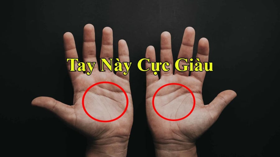 Tướng bàn tay giàu có