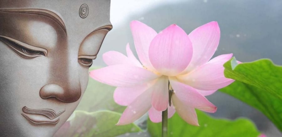 Hận thù kéo theo đau khổ và càng nhiều đau khổ thì ta lại càng dày vò quá khứ, càng nung nấu hận thù. (Ảnh minh họa)