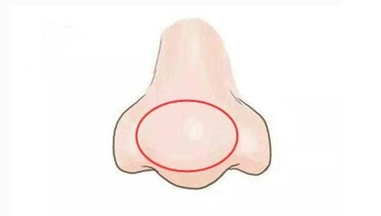 Người sở hữu đầu mũi tròn, cánh mũi đầy đặn thường mang dáng vẻ hiền hòa, thân thiện và dễ tạo thiện cảm với người xung quanh.