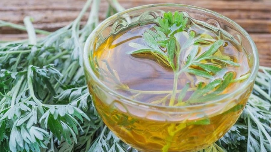 Nước ngải cứu mang lại nhiều lợi ích cho sức khỏe.