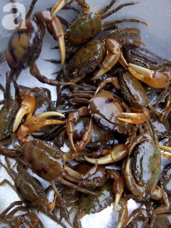 Chọn cua ngon quyết định món canh cua
