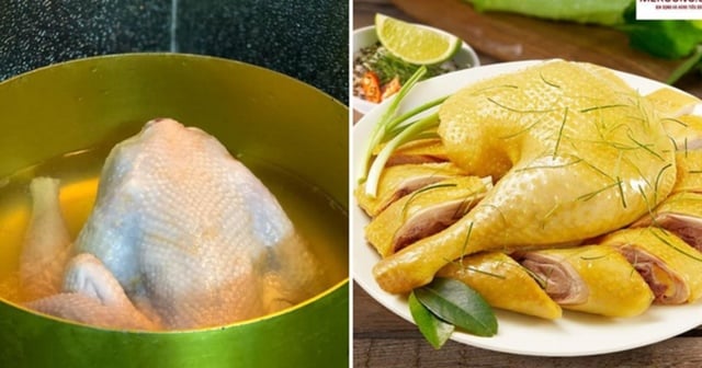 Vớt gà luộc ra khỏi nồi: Gà vừa tanh vừa đỏ, thêm 1 bước này gà vàng ươm, ngọt thịt