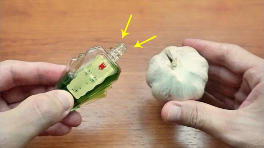 Trộn tỏi với dầu gió giúp đuổi muỗi rất tốt.