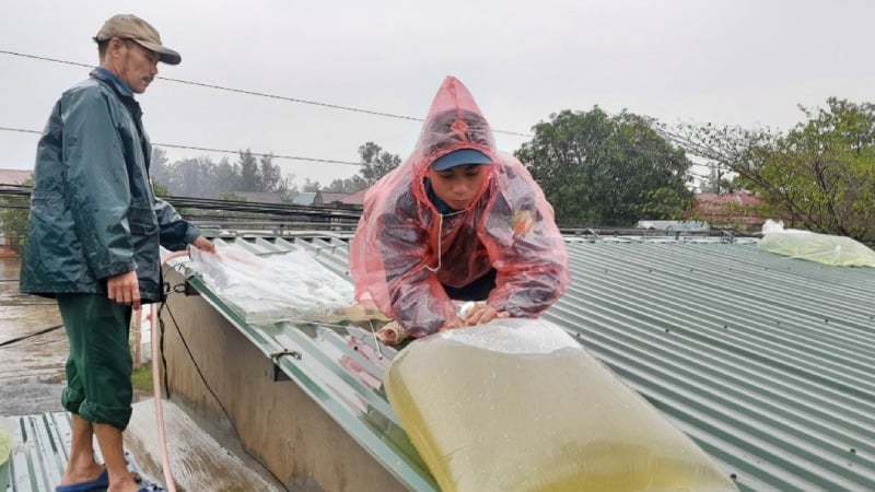 Người dân gia cố nhà cửa. (Ảnh minh họa)