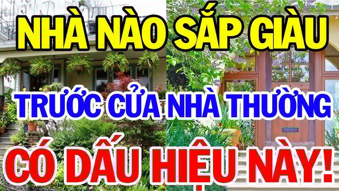 Dấu hiệu nhà sắp phát tài