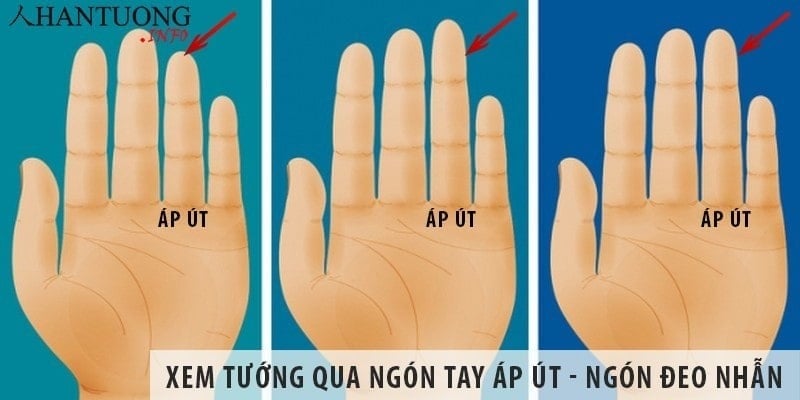 Trường hợp bạn có ba đường vân xuất hiện rõ nét tại các đốt thứ hai và thứ ba của ngón áp út, đó là dấu hiệu cho thấy bạn có vận số phát triển mạnh mẽ vào giai đoạn trung vận.