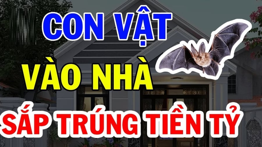 Những con vật vào nhà gia chủ sắp trúng số phát tài