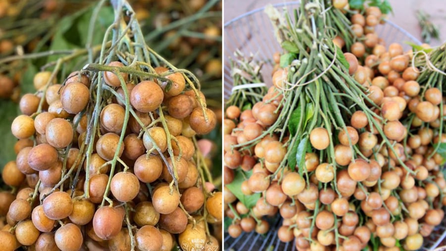 Quất hồng bì có hương vị chua dịu, mùi thơm đặc trưng, được nhiều chị em yêu thích.