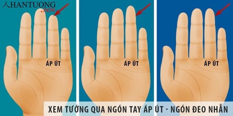 Trường hợp ngón áp út có ba đường vân nằm ở đốt thứ hai và thứ ba, đây là dấu hiệu của người có tiềm năng phát triển mạnh mẽ trong sự nghiệp, đặc biệt là từ trung vận trở đi.    