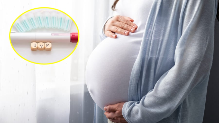 Từ ngày 1/10/2025, phụ nữ độc thân có quyền sinh con bằng cách sử dụng kỹ thuật hỗ trợ sinh sản (thụ tinh trong ống nghiệm).