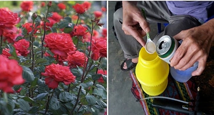Trong hầu hết các gia đình, bia thường được dự trữ để đãi khách hoặc thỉnh thoảng sử dụng.