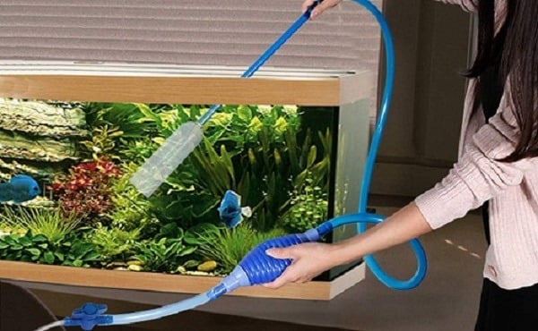 Với những gia đình có nuôi cá cảnh, nước trong bể cá sau khi thay không nên bỏ đi.
