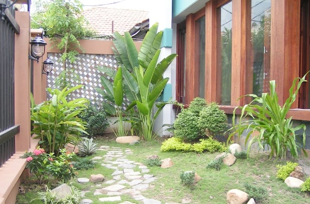 Cây cối quanh nhà xanh tốt quanh năm